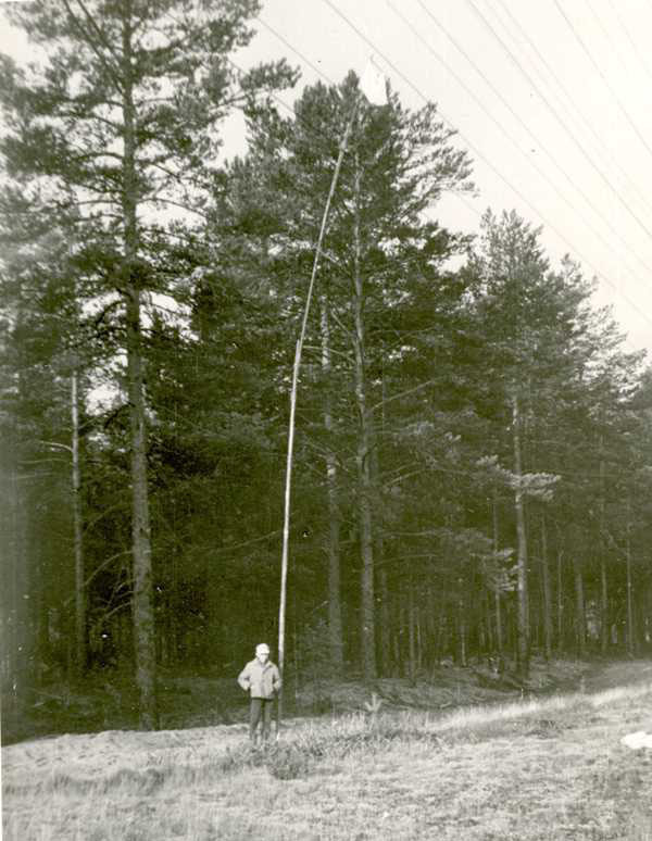 Сигнальщик с флагом в лесу